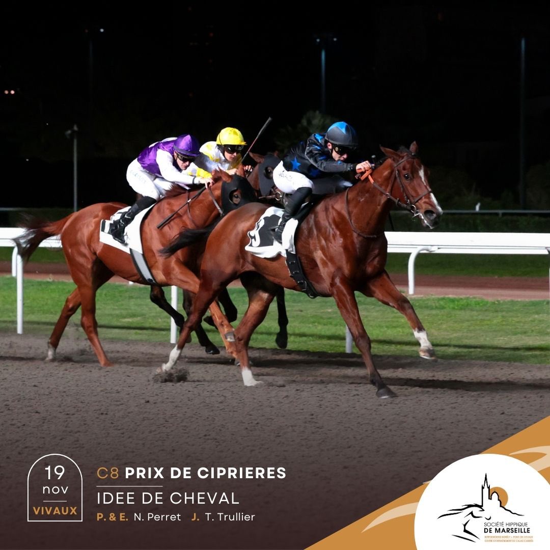 📸 Retour en image sur la réunion de plat d’hier sur l’hippodrome de Marseille Pont-de-Vivaux !  2️⃣
🏆Un grand bravo aux lauréats ainsi qu’à leurs entourages respectifs !  👏🏻

📷 @Agence Couleur Casaques