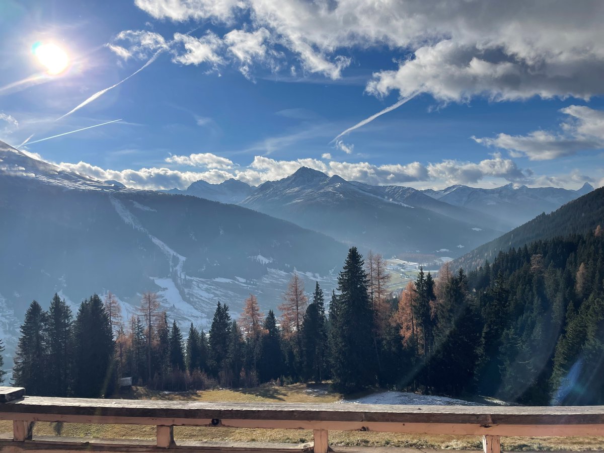 Kathrin Hondl tweet media