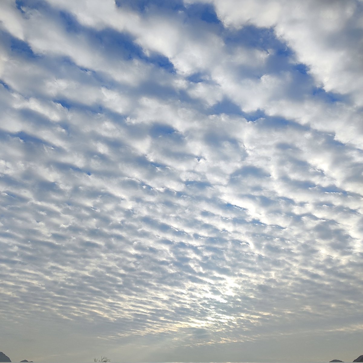 فکر کنم فقط باید عکس اسمون بزارم