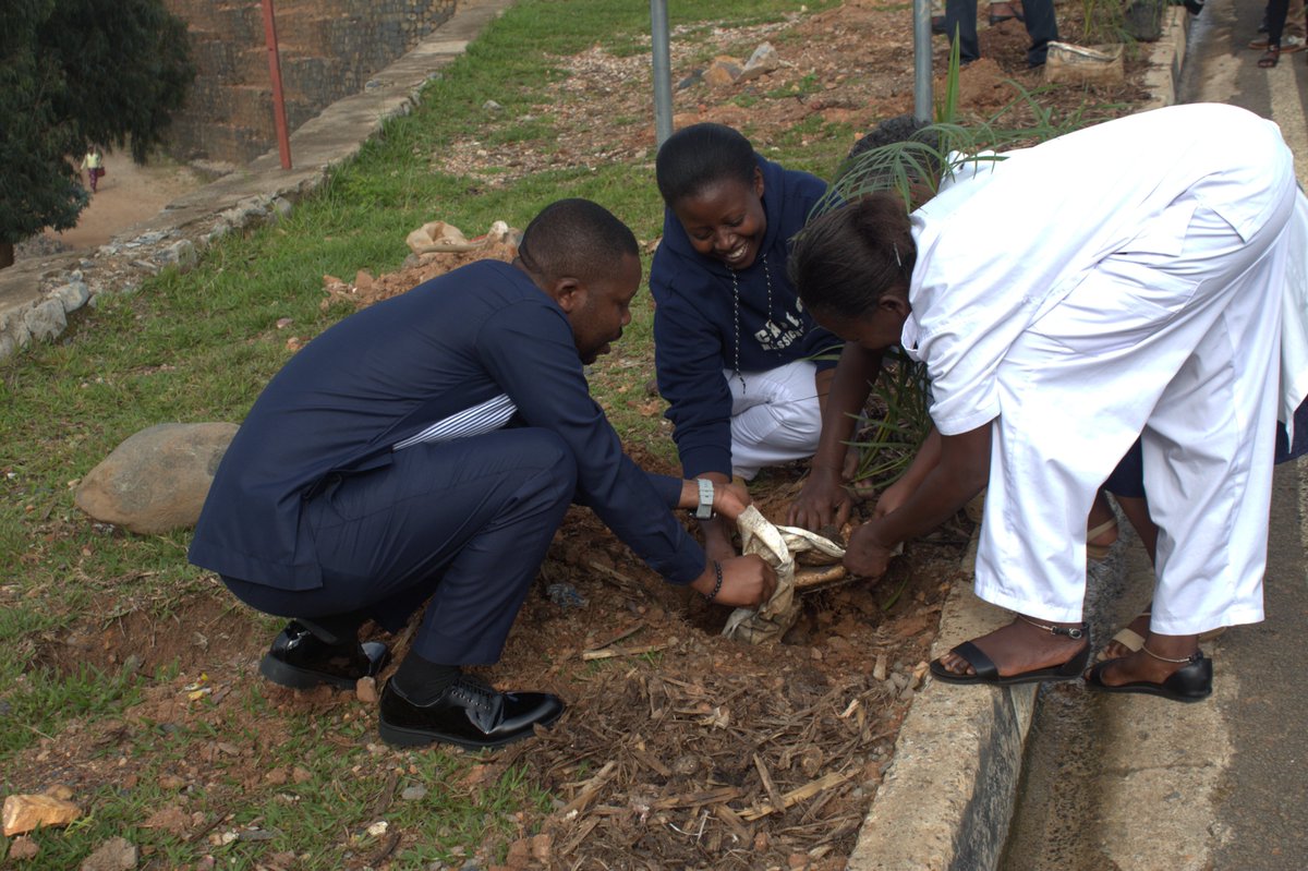 Uyu munsi ku wa 20/11/2024 abakozi b'Ibitaro by'Akarere bya Murunda bazindukiye mu muganda wihariye wo gutera ibiti n'indabo. Hatewe ibiti birenga 100(imikindo, Thuja) ndetse n'indabo muri gahunda ya "Greening and beautification"
<a href="/RwandaHealth/">Ministry of Health | Rwanda</a> <a href="/RutsiroDistrict/">Rutsiro District</a> <a href="/nkunzipeter/">Nkunzimana Jean Pier</a> 1/2