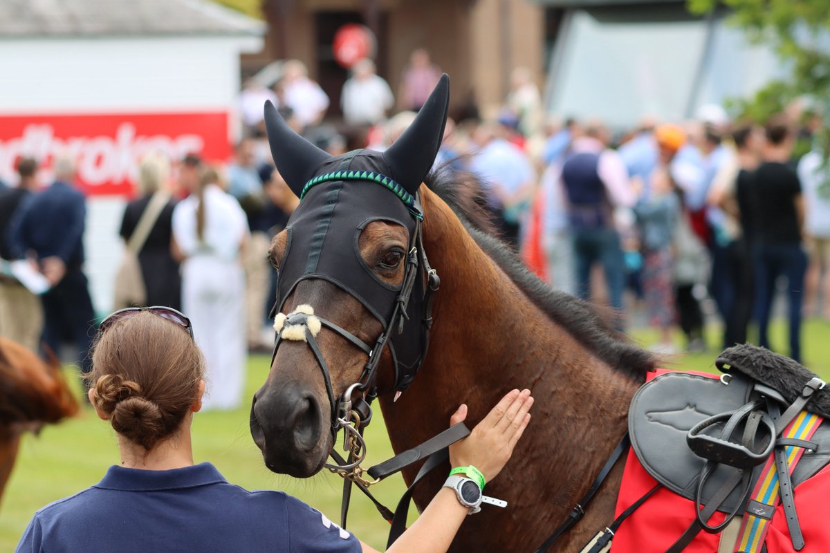 punchestownrace's tweet photo. 😍BIG LOVE😍
💪Massive thank you to Anglesey Lodge Equine Hospital for sponsoring the #Stablestaff Canteen on both days of the Punchestown Premiere Weekend.
#ALEH #PPW https://t.co/CgacFMVkWD