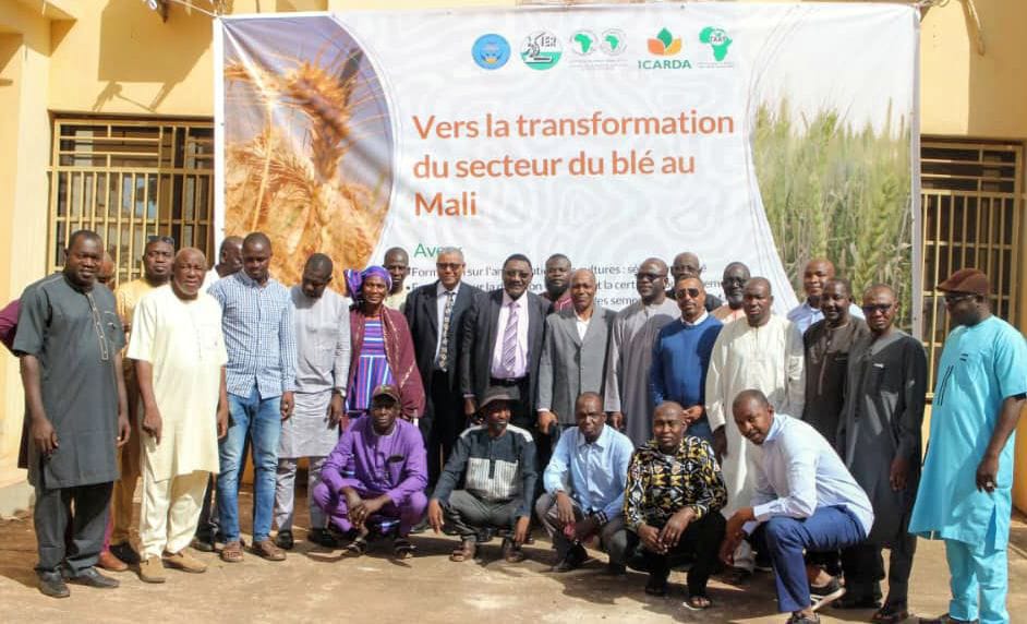 Taat_Africa's tweet photo. Scenes from the #ongoing ToT in #Mali on #WheatSectorTransformation.
#TAATinMali #SeedSystem #TechnicalAssistance #EngageTAAT #FeedAfrica https://t.co/K7DSzZOKVH