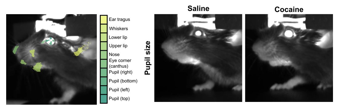 Łukasz Bijoch tweet media
