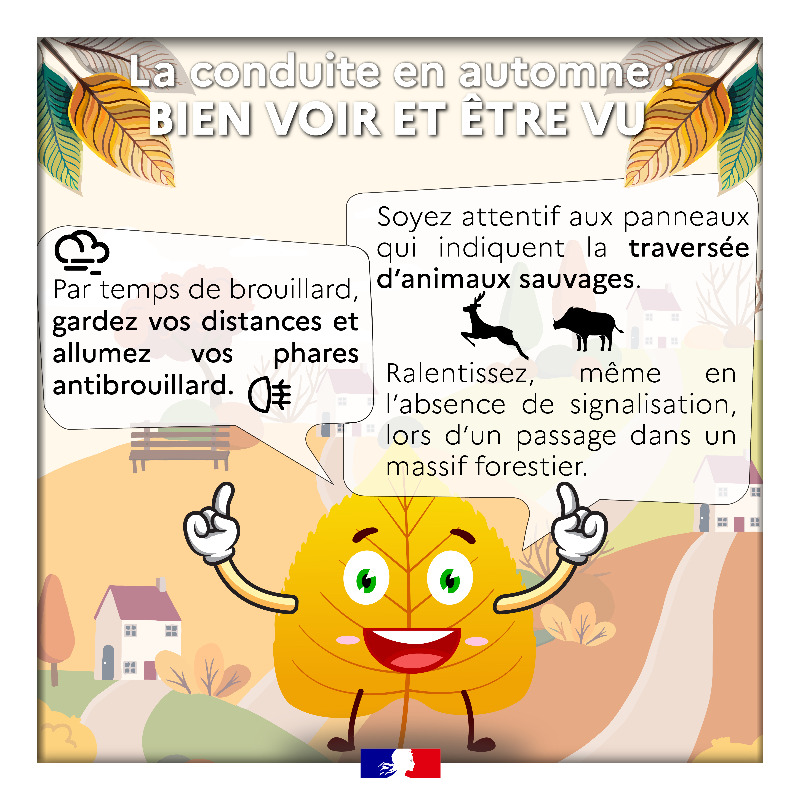 Prefet76's tweet photo. L'automne 🍂 nécessite une vigilance particulière de la part des conducteurs.

Voici quelques conseils pour assurer votre sécurité et celle des autres usagers de la route ⬇️
