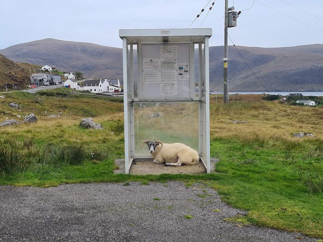 Bus Stop of The Day: Outer Hebrides. Pic: Janet C Webster.
