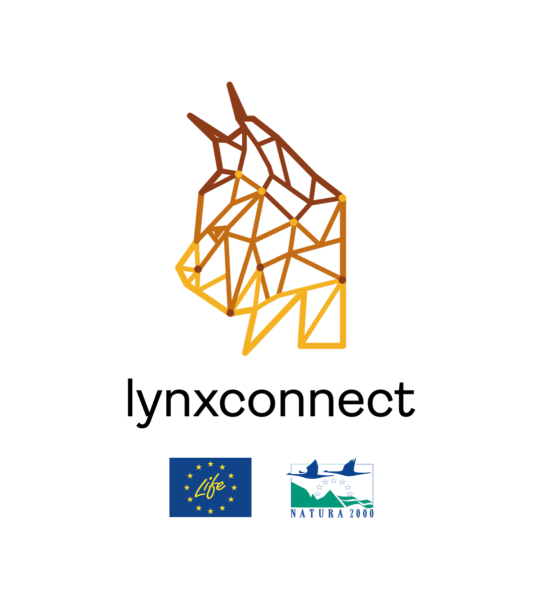 Life Lynxconnect tweet media