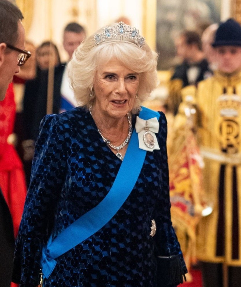 lasloria's tweet photo. Blue is definitely her colour 💙
#DiplomaticReception 2022 × 2024
#QueenCamilla https://t.co/06wqZ3UUqB