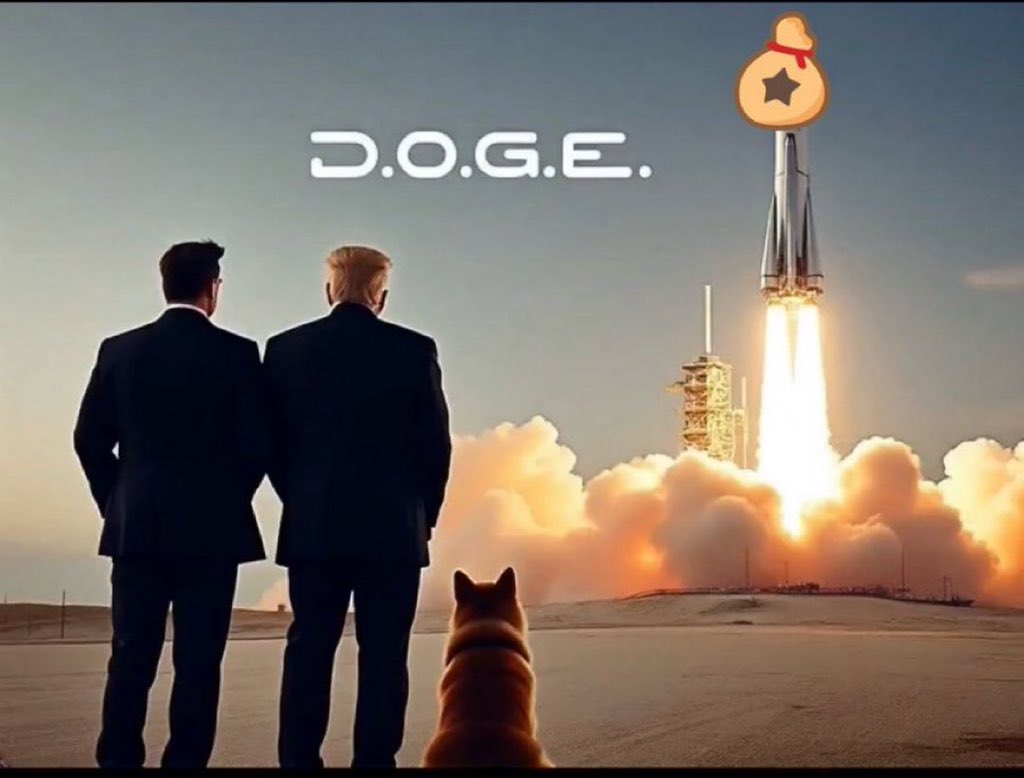 Junaidcrypt_'s tweet photo. @DogeSantaWish @elonmusk @elonmusk https://t.co/0sz4Qt1xkJ