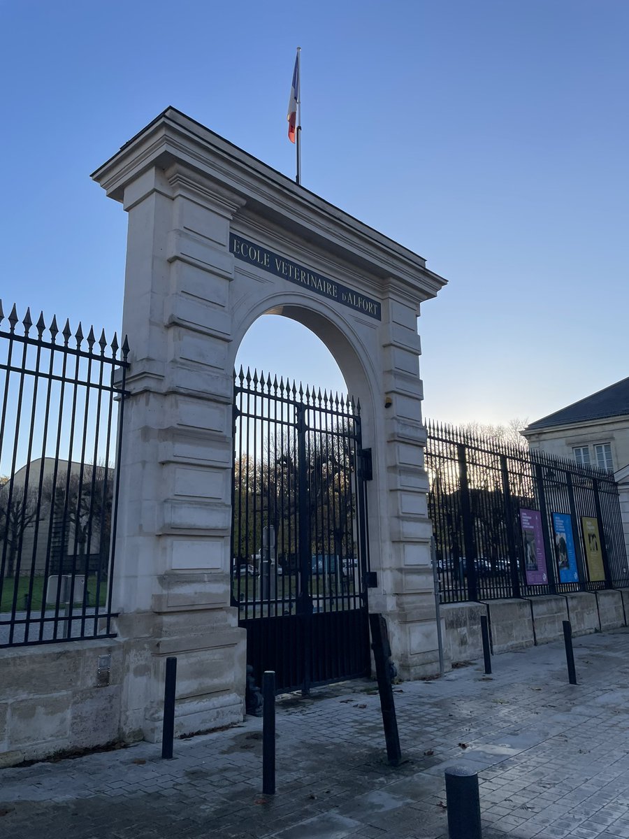 Paul Rees (@drpaulrees) on Twitter photo Busy few days - from <a href="/harvardmed/">Harvard Medical School</a> EMS symposium to <a href="/samudeparis/">SAMU de PARIS</a> to speak about our endovascular programme on their ECMO Rescue Course - and a very early running āopportunityā this morning.Thanks for the invitation <a href="/LionelLamhaut/">Lamhaut</a> <a href="/alice_hutin/">Hutin Alice</a> <a href="/BIDMCEM/">BIDMC Emergency Med</a> Busy few days - from <a href="/harvardmed/">Harvard Medical School</a> EMS symposium to <a href="/samudeparis/">SAMU de PARIS</a> to speak about our endovascular programme on their ECMO Rescue Course - and a very early running āopportunityā this morning.Thanks for the invitation <a href="/LionelLamhaut/">Lamhaut</a> <a href="/alice_hutin/">Hutin Alice</a> <a href="/BIDMCEM/">BIDMC Emergency Med</a>
