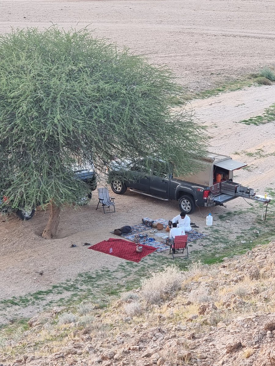 عبدالعزيز عبدالله الدباس tweet media