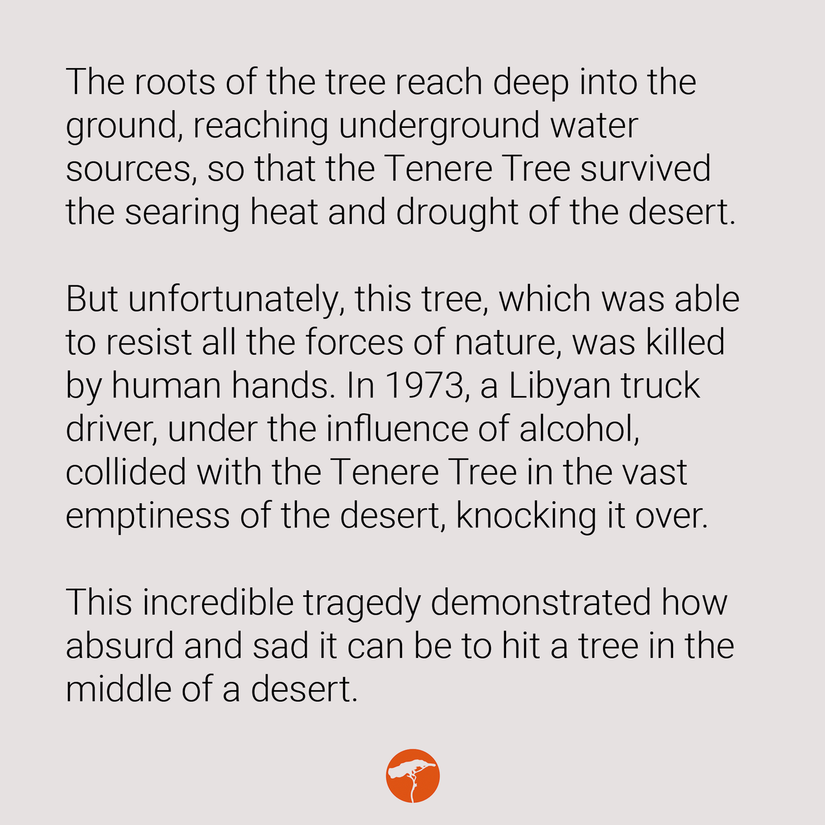 grownigering's tweet image. A tree standing alone for 400 km in the vast sands of the Sahara Desert!🌱#TenereTree #PowerofNature #LegendaryTree