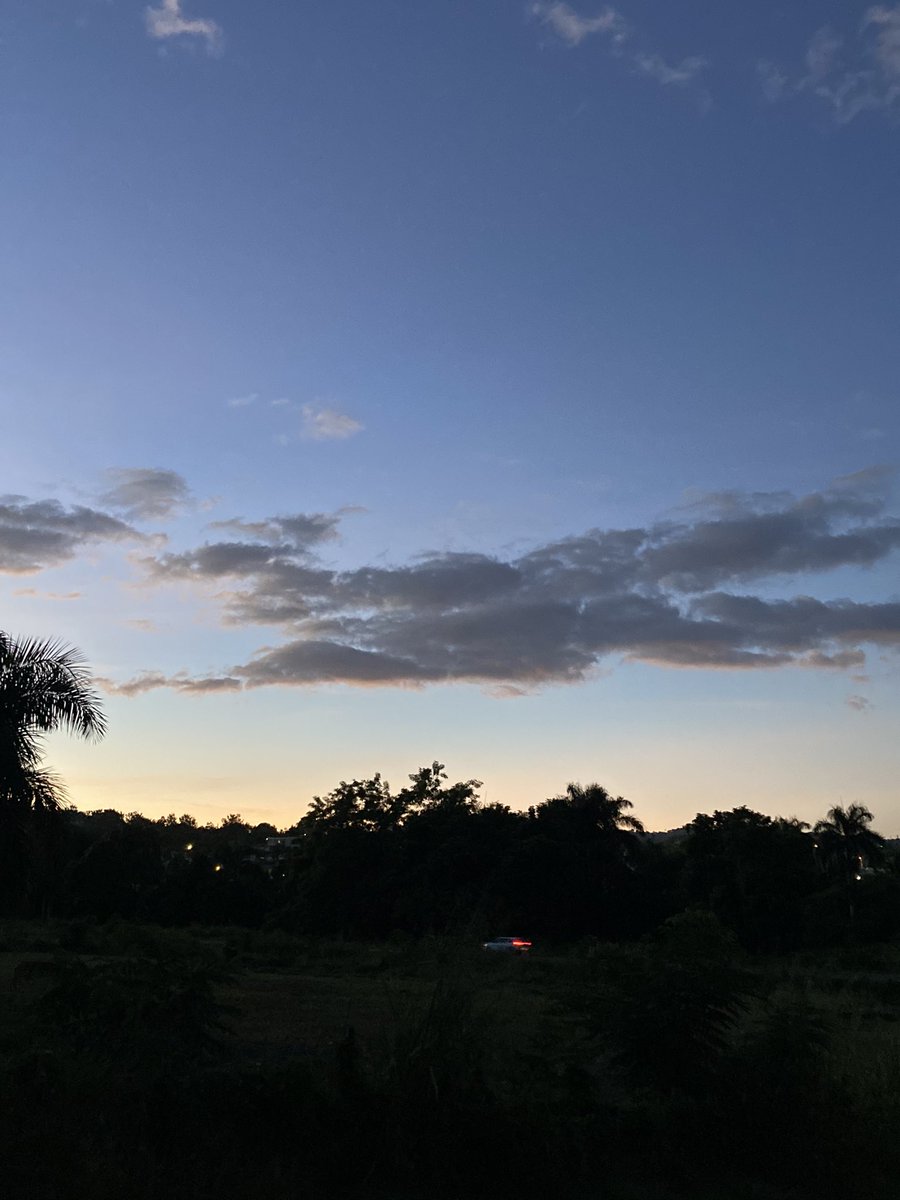 RealJota tweet media