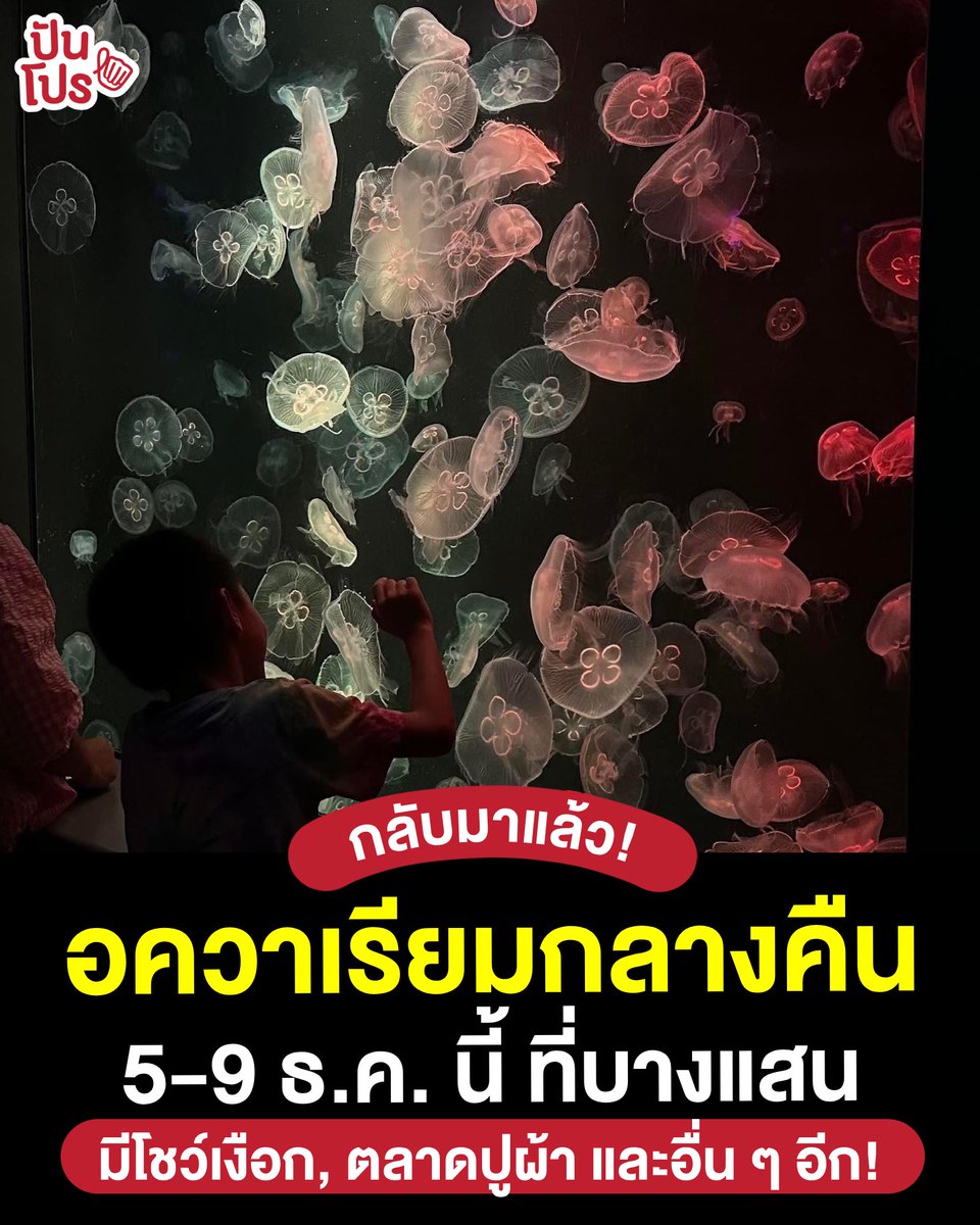 🤩 ใครรอกิจกรรมนี้อยู่ยกมือขึ้น! #อควาเรียมบางแสน จัดกิจกรรม “Night At The Bangsean Aquarium” ให้มาเดินเที่ยวอควาเรียมตอนกลางคืน ช่วง 17.00 - 21.00 น. (เปิดขายบัตรถึง 20.30 น.)

👉🏻 และในงานนี้ก็มีกิจกรรมเยอะแยะ เช่น โชว์เงือกใต้น้ำ, ปูผ้า Market โดยนิสิต, จัดแสดงปะการังเรืองแสง,