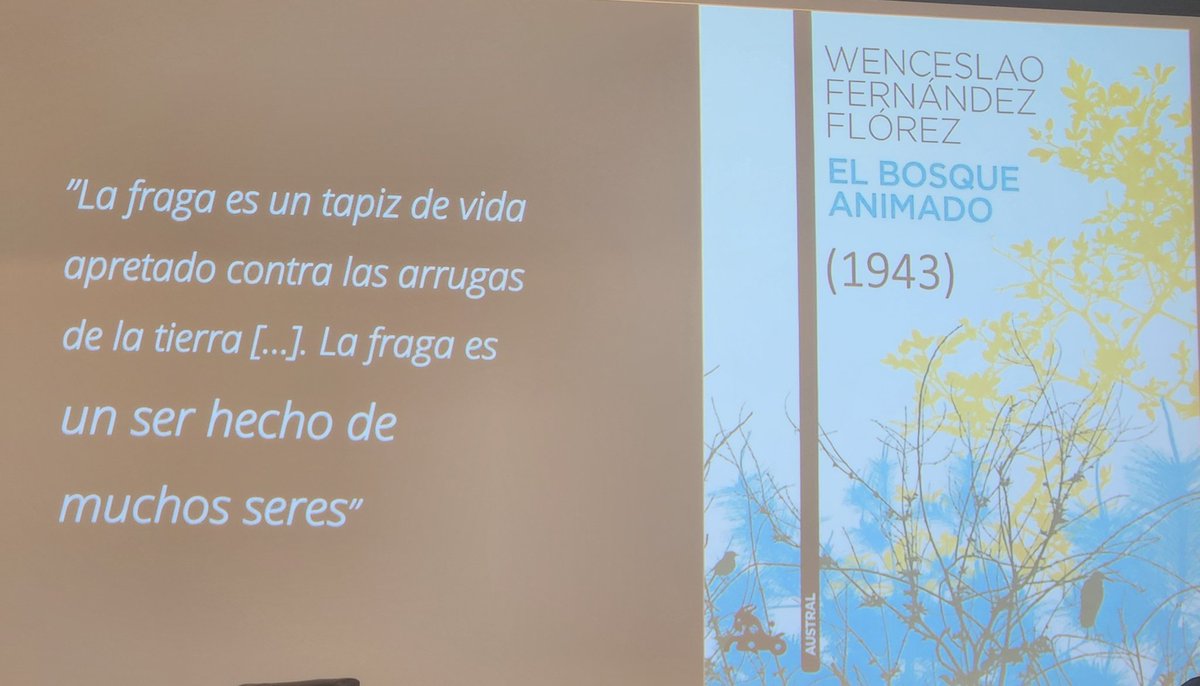 Angélica Rocha tweet media