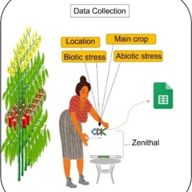 #PapersBiologiaUB | 🤖 Doctor Nabat: una app basada en #deeplearning que diagnostica trastorns de cultius hortícoles amb un 94% d'encert per ajudar als agricultors a millorar la gestió i seguretat alimentària.

doi.org/10.1016/j.ecoi…