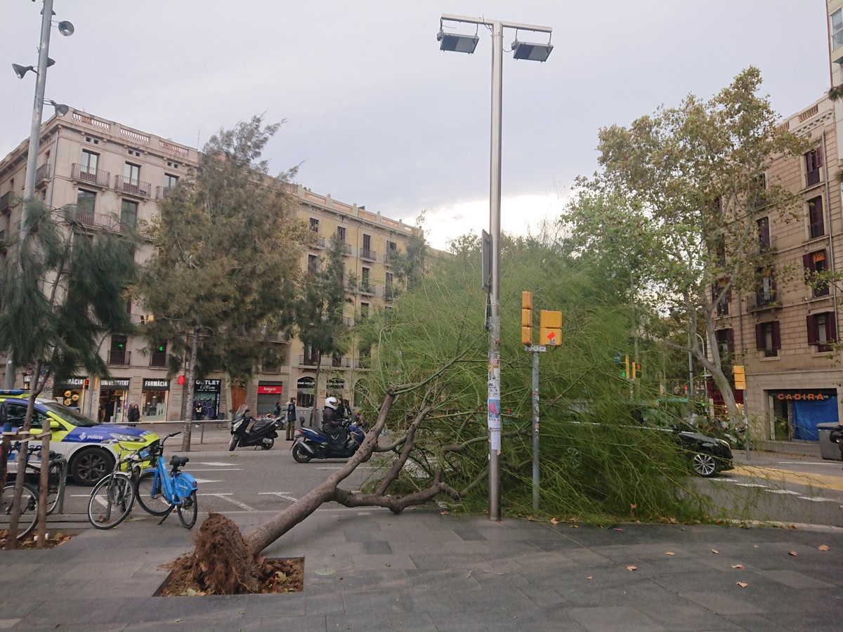 tonicarneros's tweet photo. Els efectes del vent a plaça Universitat https://t.co/IWbJfE5Wjl