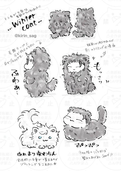 冬毛ちみメガ 