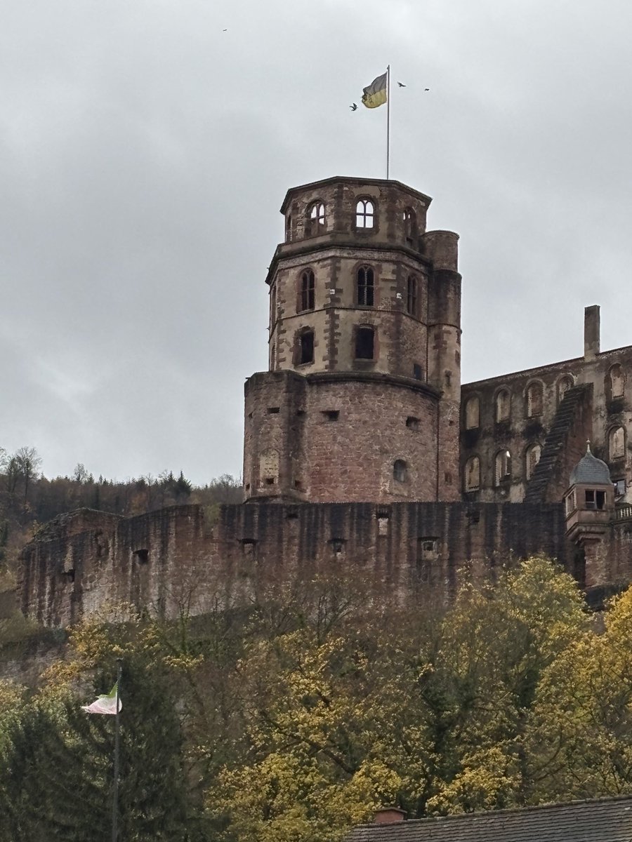 schroeder_ann's tweet photo. Heidelburg Germany #LotsToSee https://t.co/MpLHrnKvVH
