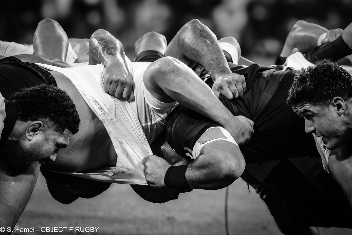 Toutes les photos entre <a href="/FranceRugby/">France Rugby</a> et <a href="/AllBlacks/">All Blacks</a> à découvrir sur objectifrugby.com