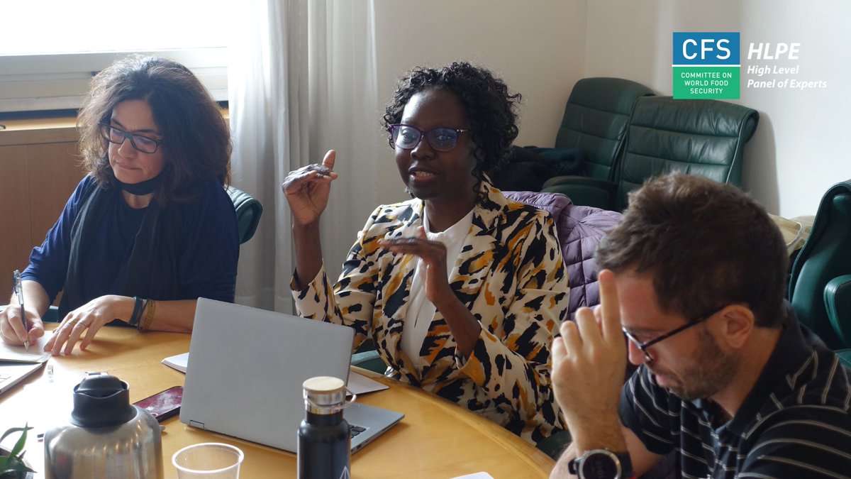 HLPE-FSN tweet media