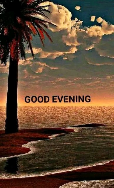 Zahra Batool tweet media