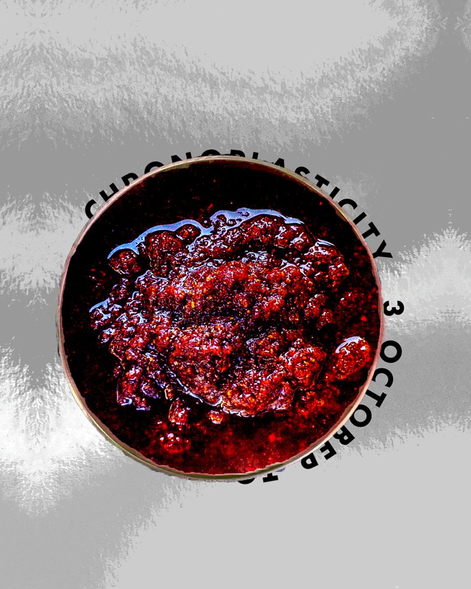 Chutnefying Entropy
27 November, 6pm

This workshop will dive into the complexities of chutney with researcher and curator Abhishek Nilamber.

Places are free but very limited. Sign up and find out more via Eventbrite: eventbrite.co.uk/e/chutnefying-…