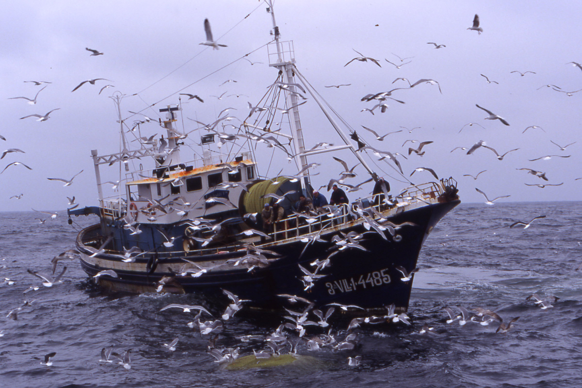 ICMCSIC's tweet image. 🔴I #ICMNEWS I🔴

🎣Un nuevo informe del @CSIC liderado por el ICM en colaboración con el @IEOoceanografia insta a transformar el modelo actual de gestión pesquera para garantizar su sostenibilidad a largo plazo.

+ info: icm.csic.es/es/noticia/un-…

📷@CollMonton