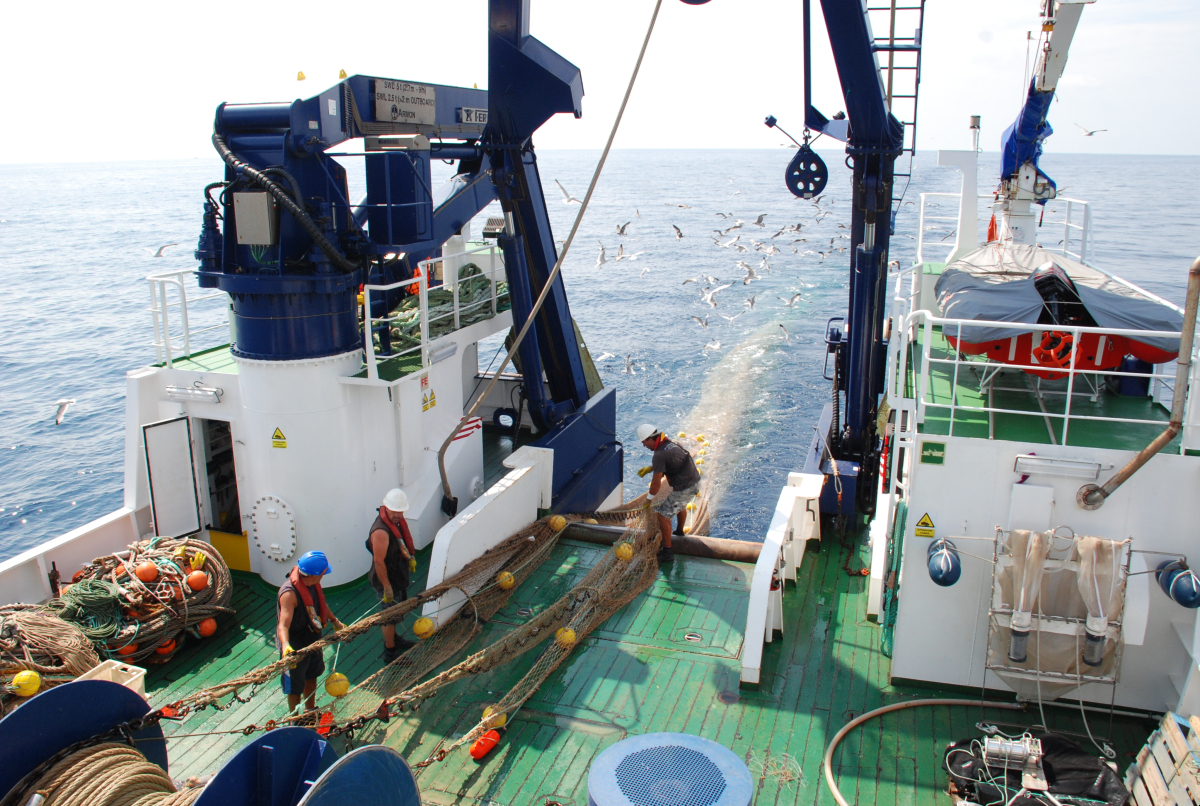 ICMCSIC's tweet image. 🔴I #ICMNEWS I🔴

🎣Un nuevo informe del @CSIC liderado por el ICM en colaboración con el @IEOoceanografia insta a transformar el modelo actual de gestión pesquera para garantizar su sostenibilidad a largo plazo.

+ info: icm.csic.es/es/noticia/un-…

📷@CollMonton