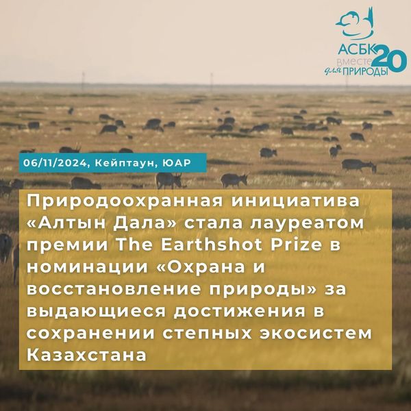 🌍 Алтын Дала – победитель премии The Earthshot Prize! 🏆

Инициатива «Алтын Дала» получила престижную награду The Earthshot Prize за выдающиеся достижения в восстановлении численности сайгака 🦌 и расширении сети особо охраняемых территорий в степных экосистемах Казахстана.