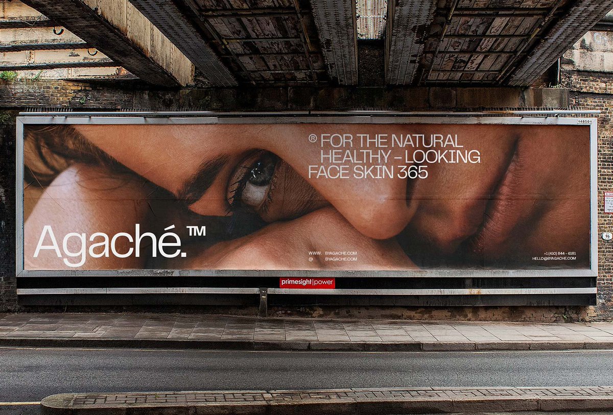 JoséPablo* tweet media