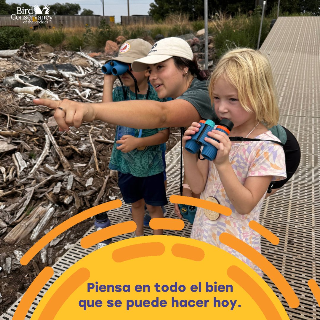 Bird Conservancy of the Rockies tweet media