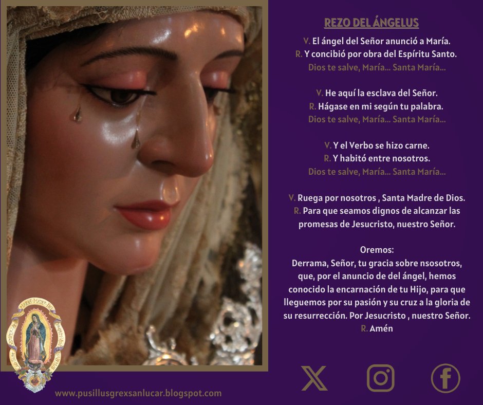 Pusillus_Grex's tweet photo. Bajo tu amparo nos acogemos, Santa Madre de Dios. No desoigas nuestras súplicas que te dirigimos en nuestras necesidades, antes bien, líbranos de todos los peligros, Virgen gloriosa y bendita.
#pusillusgrex #guadalupe #jara #soberanopoder https://t.co/xwiVRqWDqN