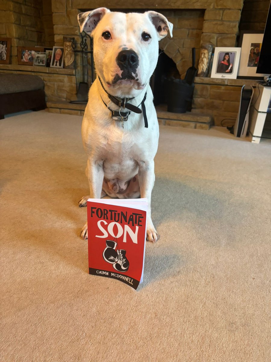 Caimh McDonnell tweet media