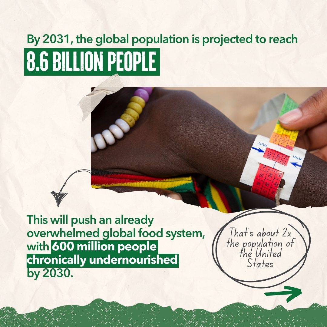 GOAL_Global's tweet photo. For over 40 years, GOALies have worked in some of the most food-insecure countries, such as Niger, Honduras and Ethiopia, to help communities impacted by the world's worst crises. #COP29
 
🔗 Read our blog to learn more ➡️ https://t.co/bI2UefCp9k

@GOALNextGen https://t.co/stkvq2Do8C