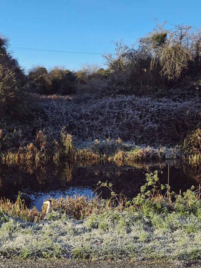 Nippy out there today 🥶