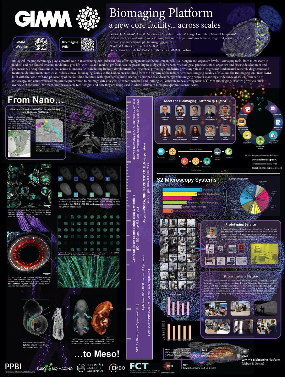 José Rino (@jose_rino_) on Twitter photo If you are at #spaom2024, visit us at poster 37 to learn all about the new <a href="/GIMM_Institute/">GIMM Foundation</a> Bioimaging Platform! If you are at #spaom2024, visit us at poster 37 to learn all about the new <a href="/GIMM_Institute/">GIMM Foundation</a> Bioimaging Platform!