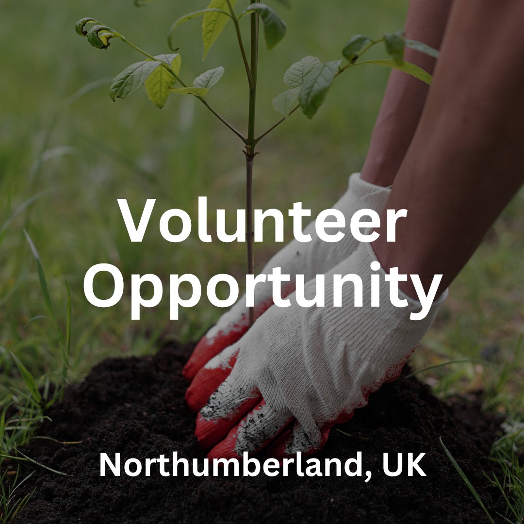 Hey folks, we are looking for volunteers to film a conservation tree planting day in Northumberland on Sunday 1st December

Get in touch if you are interested! 

#Northumberland  #volunteering #volunteer #conservation
