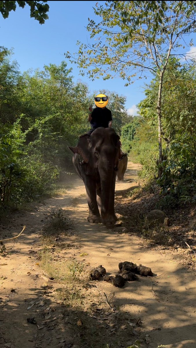 ラオスで象使い（マホート）になりました🐘🦣