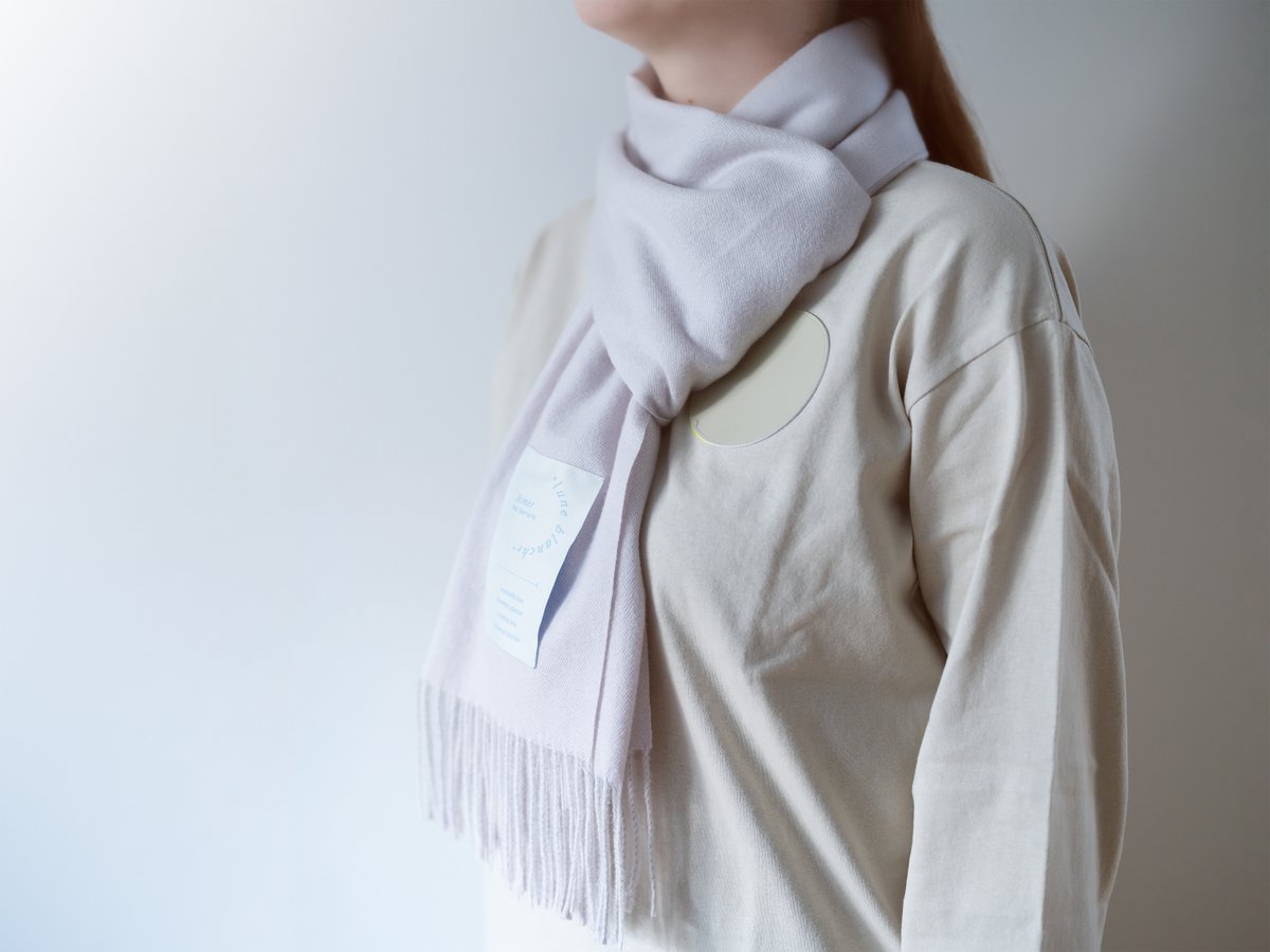 Aimer Hall Tour 24/25 