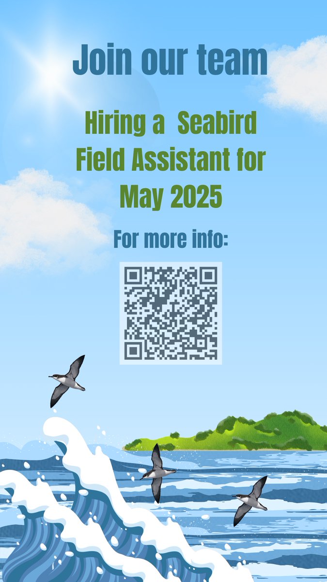 We are hiring a Field Assistant for 2025. 

🌊Are you starting your career as a seabird biologist? 
🏀Excited at the prospect of remote work on UK islands?  
🌧️❄️Happy to work outside in unusual 'summer' weather conditions?

For more info on applying: drive.google.com/file/d/1byRmF-…