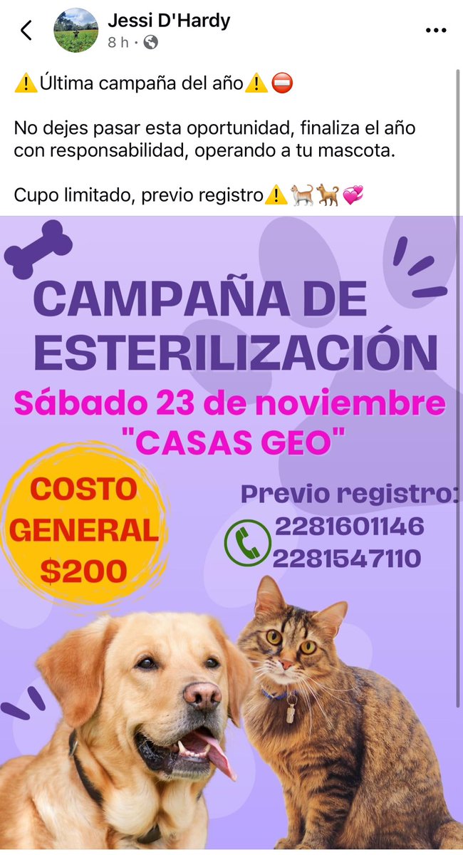 Esteriliza🐱🐶
#Coatepec #Banderilla #Xalapa <a href="/VialidadXalapa/">Vialidad Xalapa 🚦 VX 🌎</a> <a href="/mayteponm/">Mayte P.</a> <a href="/mageba04/">Gina alarcon</a> <a href="/RoxanaAAT/">Feto de PicaFresa🍓</a> <a href="/marydebeck/">Maryde</a> <a href="/Corintiacruz/">Corintia Cruz Oregón</a> <a href="/camellinlove/">Porque soy xalapeño</a> <a href="/fherciencias/">Soy Fher!</a> <a href="/pilykuera/">Pily Peregrina</a> <a href="/anicienta_6/">Ana Pelaez</a> <a href="/elviritaarteaga/">Elvira Arteaga Vega</a> <a href="/Mtra_Shaira/">Shaira</a> <a href="/AbelMucino/">Abel Muciño</a> <a href="/tierraverde1943/">ℓια ₊˚.༄ *ﾟ🌱</a> <a href="/Ydlan/">Naldy Patricia</a> <a href="/sara_juarez/">saraliz</a> <a href="/PacoDizfinck/">𝗣𝗮𝗰𝗼 𝗗𝗶𝘇𝗳𝗶𝗻𝗰𝗸</a> <a href="/ArrezEdda/">Edda Arrez</a> RT!