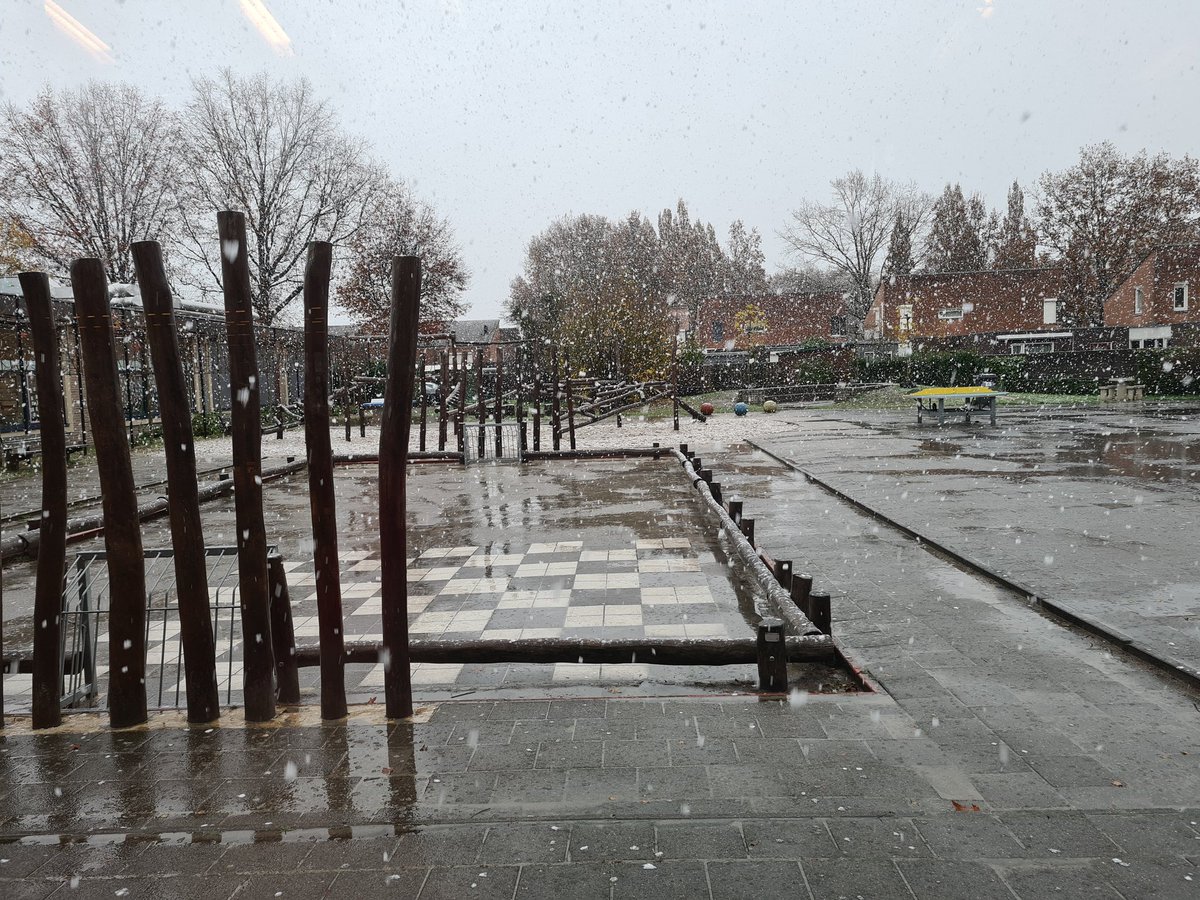 I'm dreaming.... 🎶🎄🎋❄️