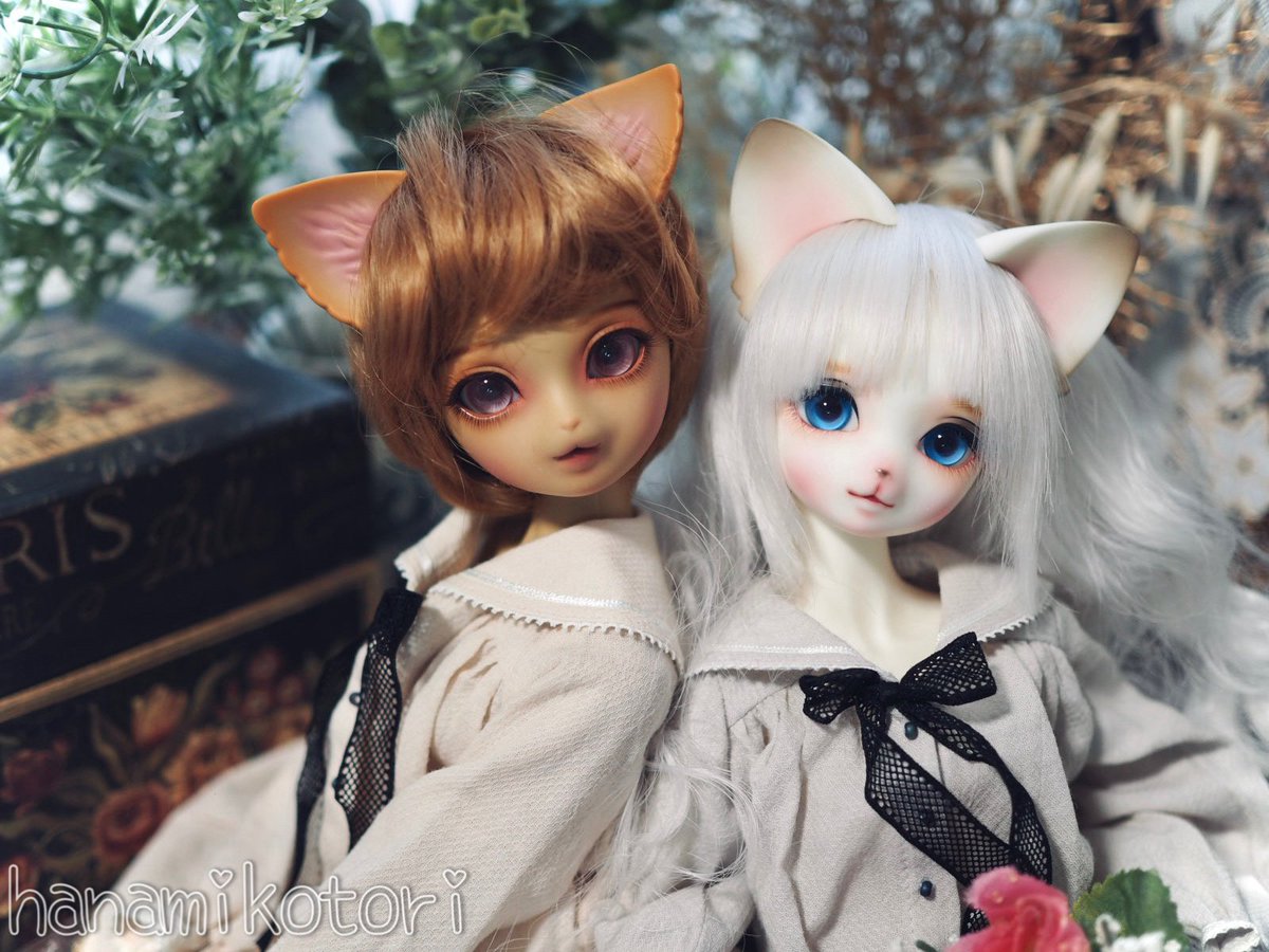 kotorie1218's tweet image. 調子のいい人もそうでない人も、みんなみんなおつかれ様にゃん🐾🌙
#LUTS ｼﾞｬｽﾐｰﾇ #dearmine ﾘﾘｱｰﾇ