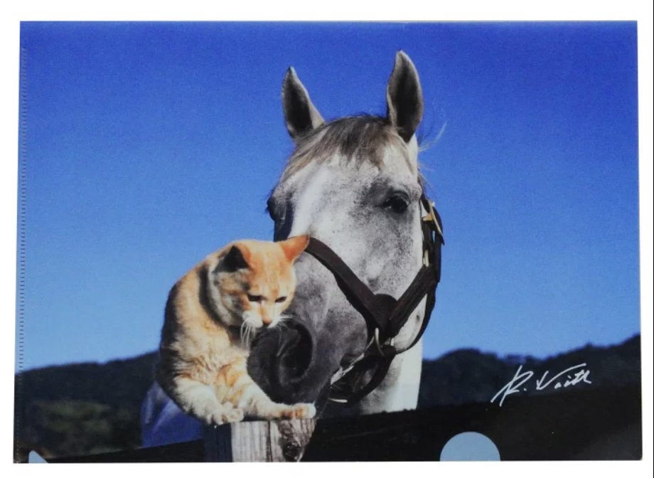 よしの)オグリキャップ親子 ◇アニメイト（通販含む） 【描き下ろし