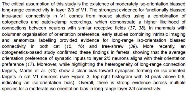 In mammals with orientation columns in V1, lateral L2/3 connections between neighboring ~0.5mm cortical patches have a biais toward similar orientations. Is this inter-pinwheel coupling a kind of vote where one pinwheel can influence the intra-pinwheel computations of the others?