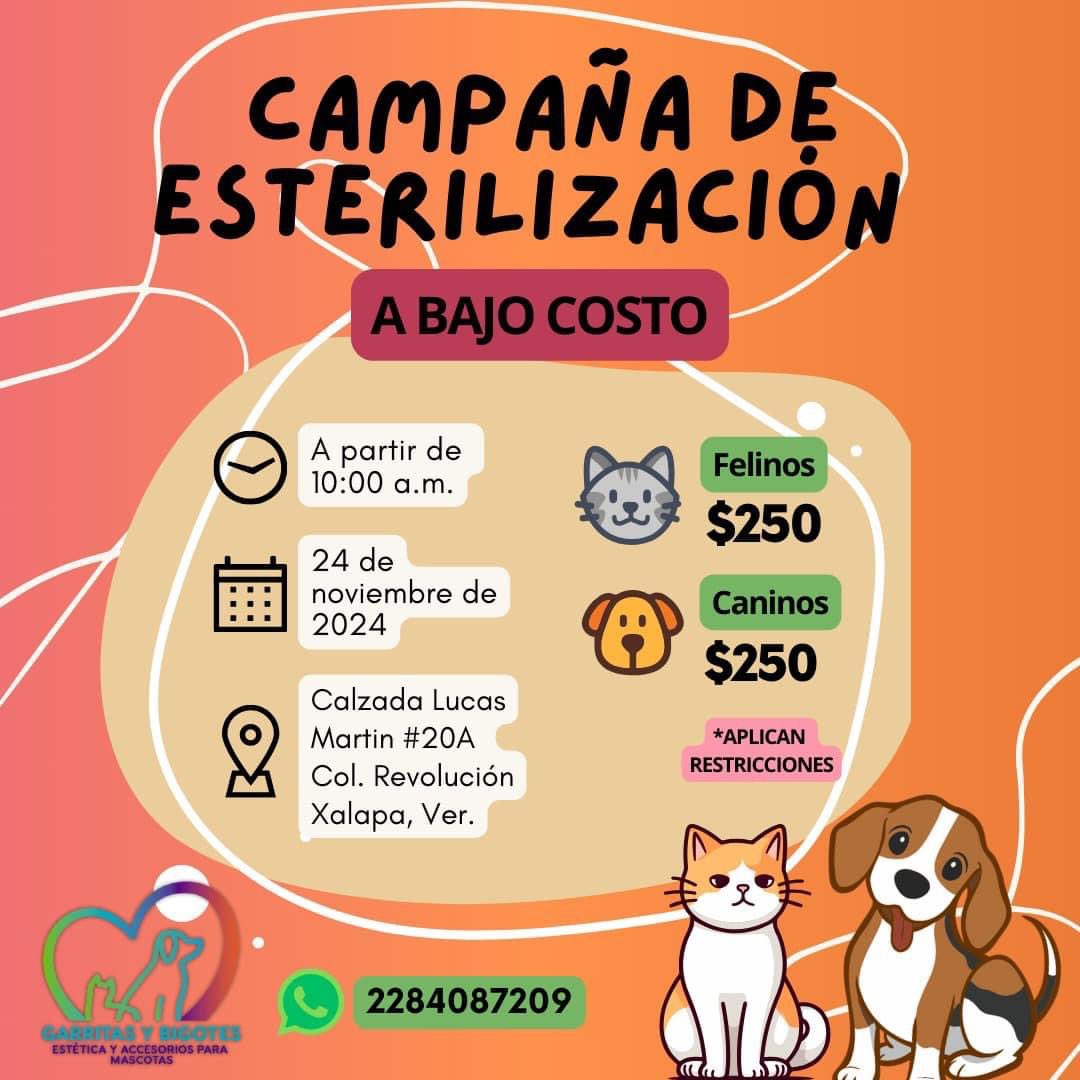 #Jilotepec #Banderilla #Xalapa #Esteriliza🐱🐶 
<a href="/VialidadXalapa/">Vialidad Xalapa 🚦 VX 🌎</a> <a href="/mayteponm/">Mayte P.</a> <a href="/mageba04/">Gina alarcon</a> <a href="/RoxanaAAT/">Feto de PicaFresa🍓</a> <a href="/marydebeck/">Maryde</a> <a href="/Corintiacruz/">Corintia Cruz Oregón</a> <a href="/camellinlove/">Porque soy xalapeño</a> <a href="/fherciencias/">Soy Fher!</a> <a href="/pilykuera/">Pily Peregrina</a> <a href="/anicienta_6/">Ana Pelaez</a> <a href="/elviritaarteaga/">Elvira Arteaga Vega</a> <a href="/Mtra_Shaira/">Shaira</a> <a href="/AbelMucino/">Abel Muciño</a> <a href="/tierraverde1943/">ℓια ₊˚.༄ *ﾟ🌱</a> <a href="/Ydlan/">Naldy Patricia</a> <a href="/sara_juarez/">saraliz</a> <a href="/PacoDizfinck/">𝗣𝗮𝗰𝗼 𝗗𝗶𝘇𝗳𝗶𝗻𝗰𝗸</a> <a href="/ArrezEdda/">Edda Arrez</a> RT