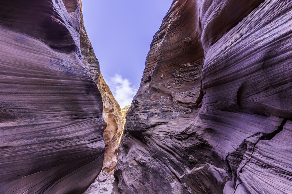 SweetJamesJGP3's tweet photo. Mountain Sheep Slot Canyon, Navajo reservation, Page, Arizona. Canon RF 14-35mm lens.
#canon #photography #canonphotography #naturephotography #photoshoot #instagram
@thinktankphoto
#thinktankphoto #mythinktank #thinktanktravel #ventureobserveconnect https://t.co/HEY5nMB4D4