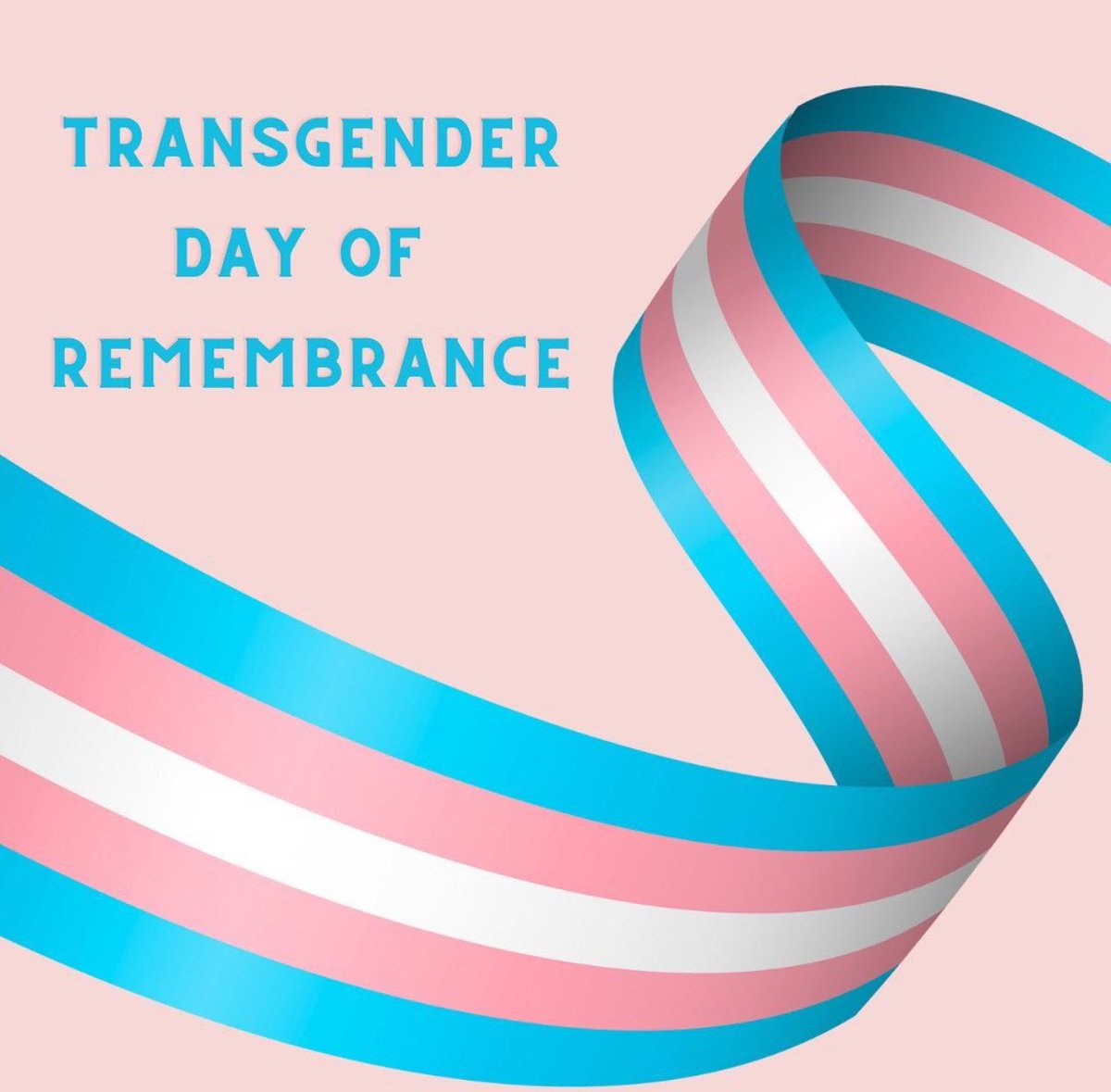 Northeastern Belonging tweet media