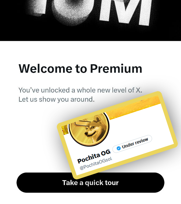 PochitaOGsol's tweet photo. We subscribed to the x #premium ! https://t.co/2dw688VIwh