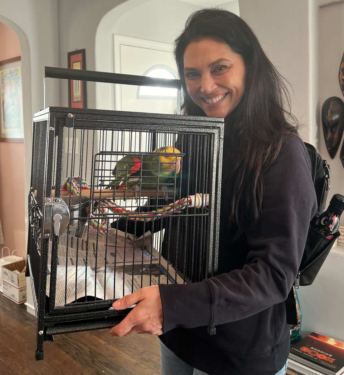 Well, that was quick! Congratulations to Bobby the amazon, who is adopted! The online adoption events really work, Bobby was featured in our last event :) Stay tuned for updates on adoptions and intakes as share some of the many birds we've been helping this year! ❤️🦜 #parrots